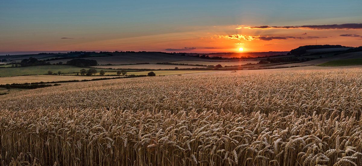 Lincolnshire |Sunset